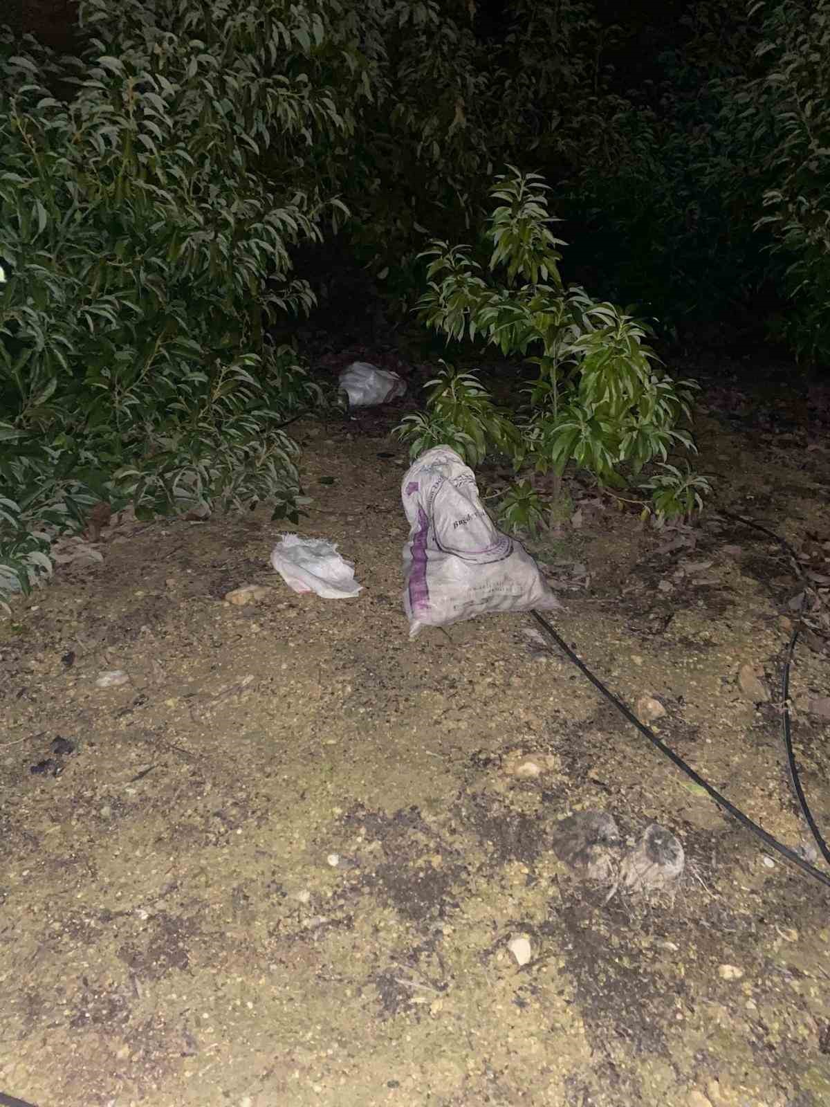 alanyada caldiklari avokadoyu birakip kacan suphelilere adli kontrol karari 6 u9Oj2guK
