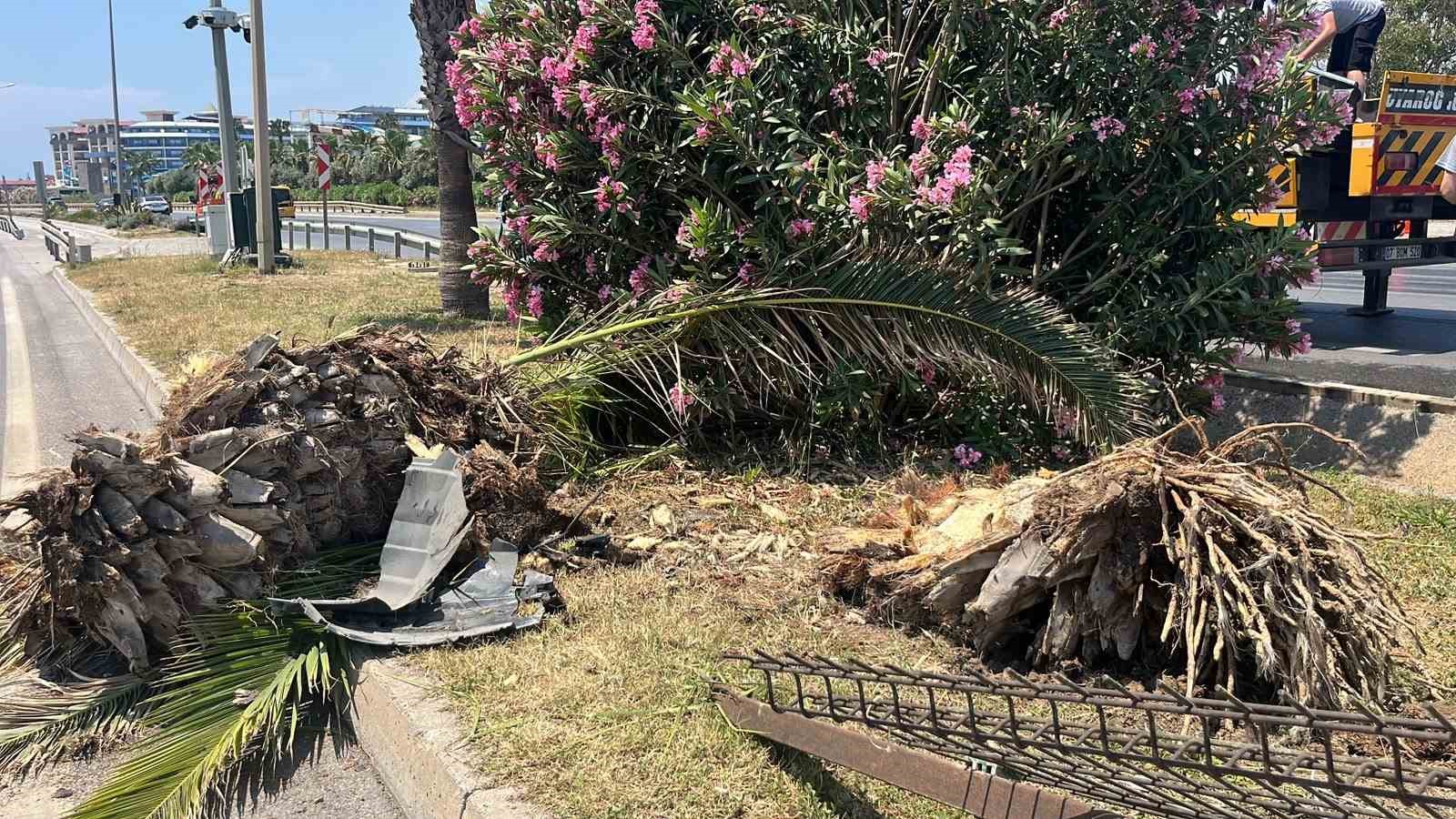 Alanya’da kamyonet ile çarpışan motosikletin genç sürücü hayatını kaybetti 8 alanyada kamyonet ile carpisan motosikletin genc surucu hayatini kaybetti 4 6unpYXVg