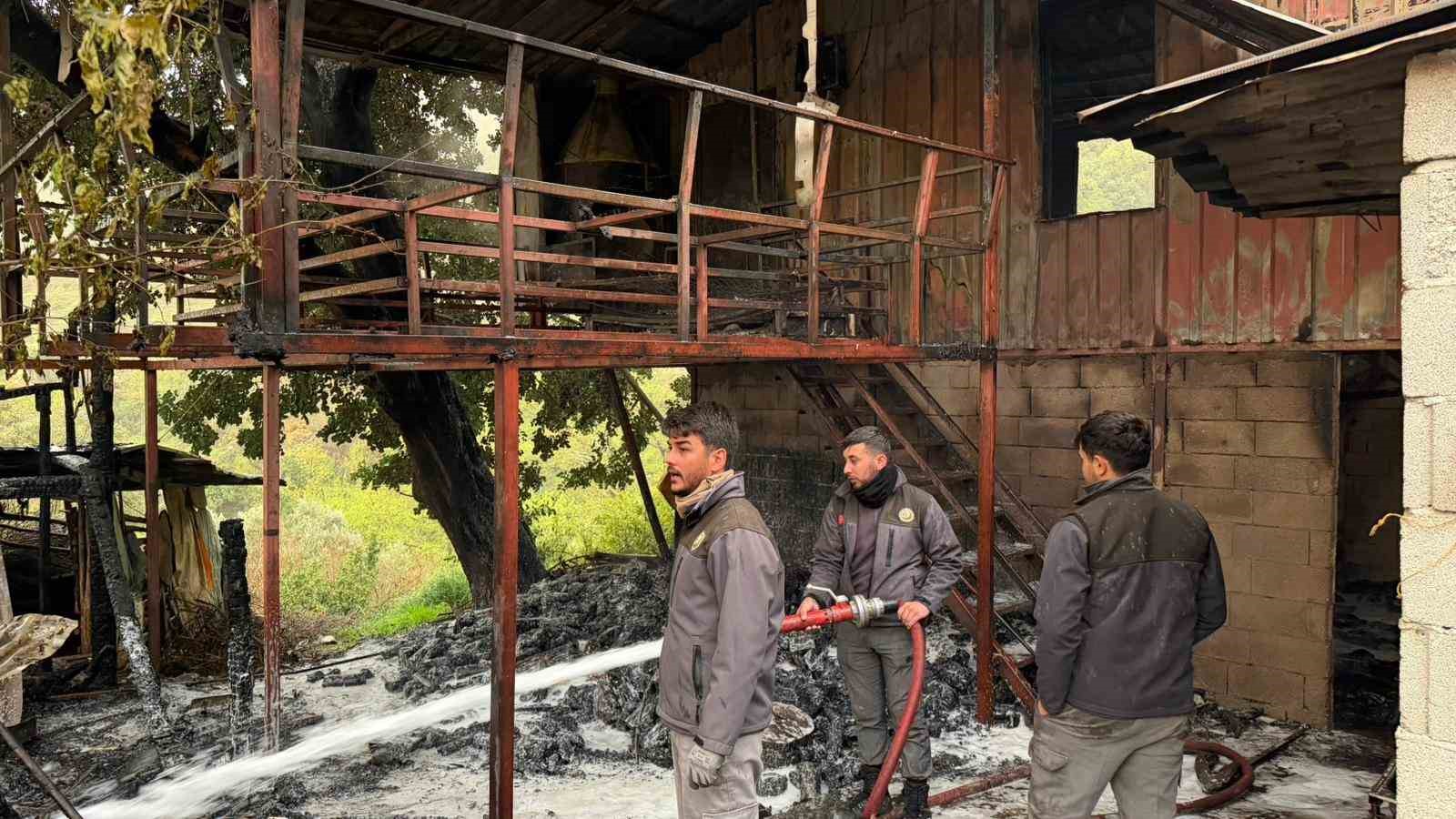 alanyada mustakil ev yangini korkuttu 0 cUhTfM6a