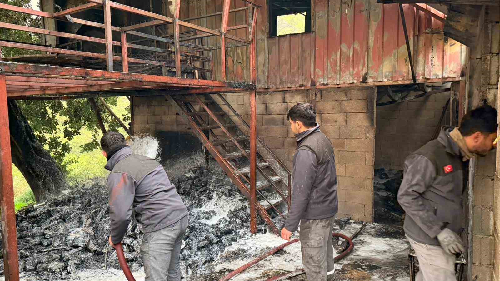 alanyada mustakil ev yangini korkuttu 1 FnRt2uhq