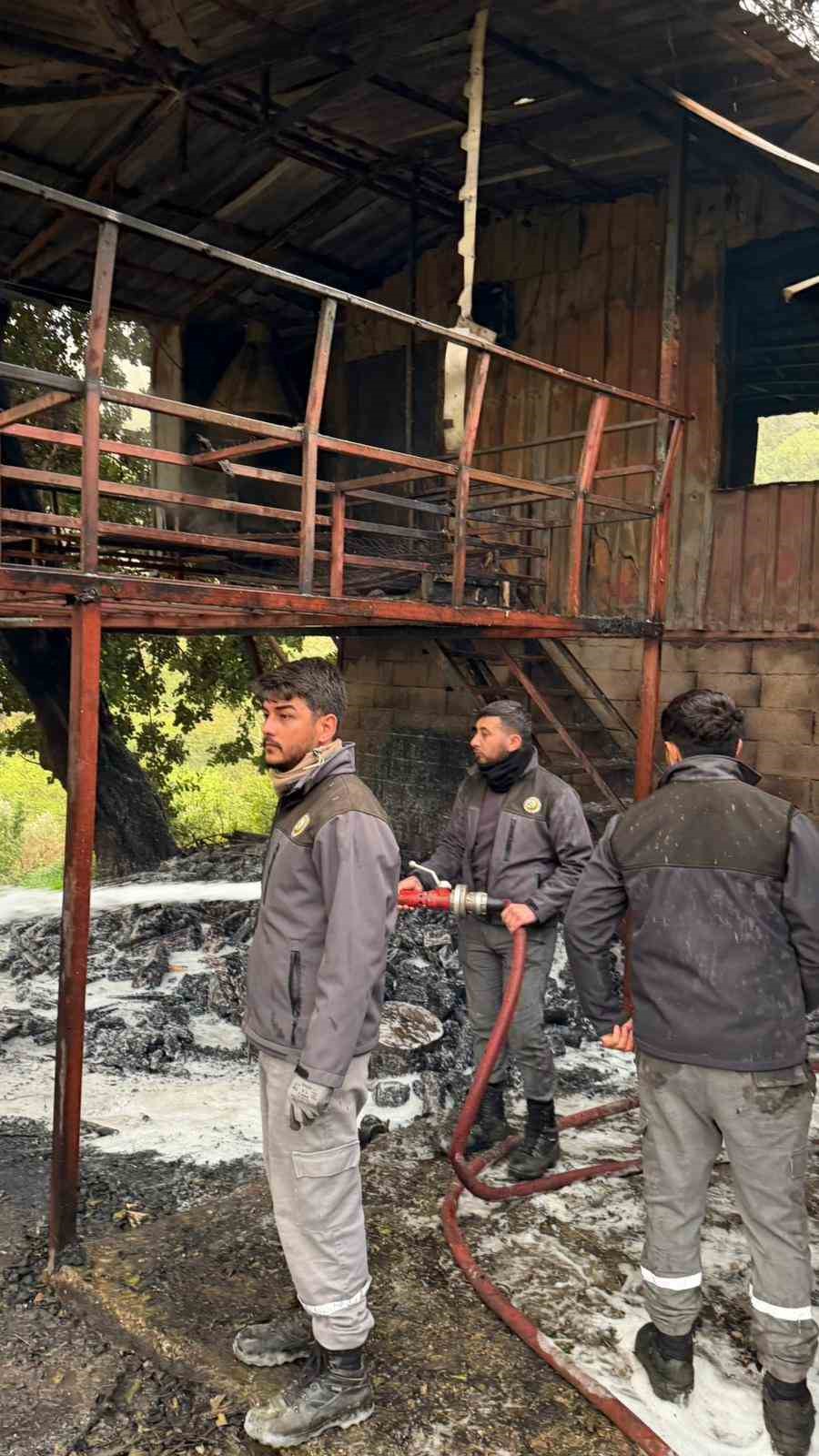 alanyada mustakil ev yangini korkuttu 6 livGBs4R