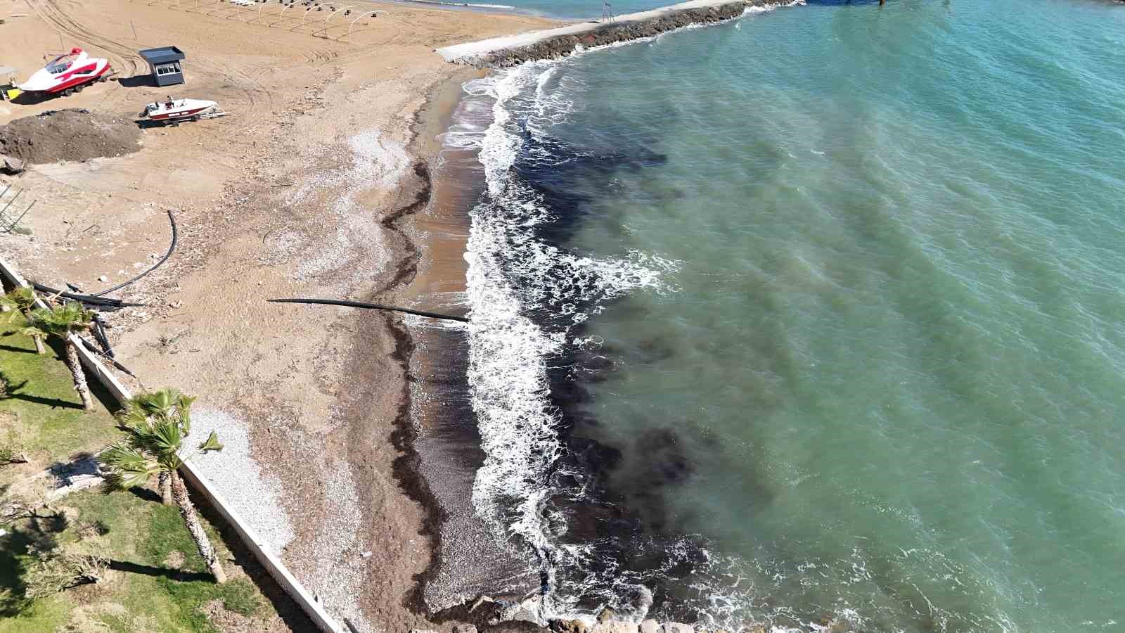 alanyada sahildeki siyah tabaka once tedirgin etti gercek sonradan ortaya cikti 0 5ZDFf8Kv