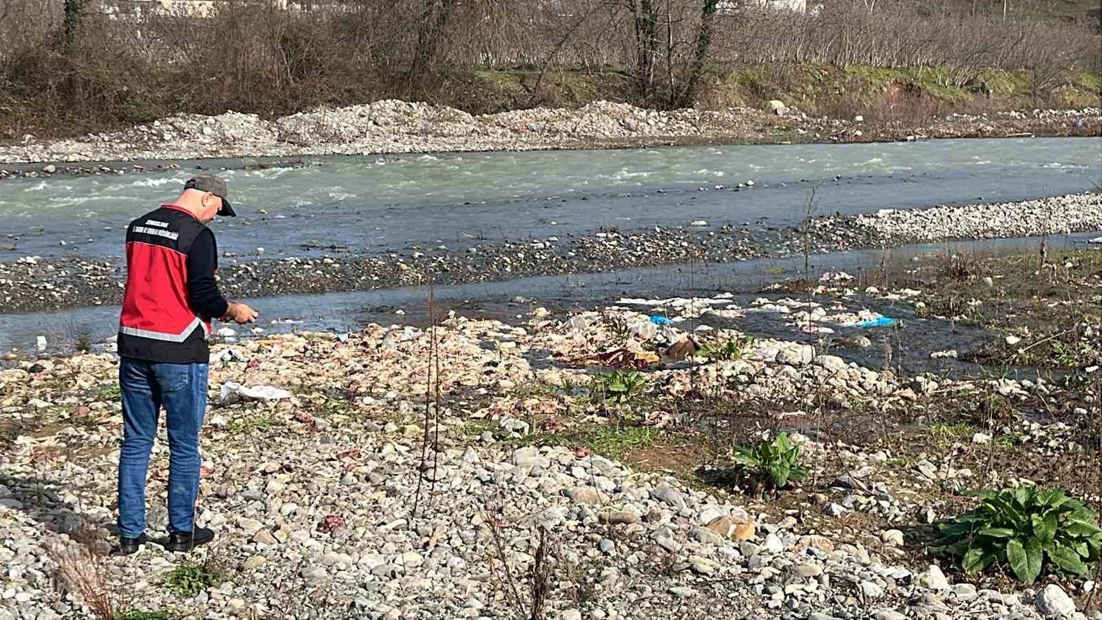 alaplida cay yataginda onlarca tavuk olusu bulundu 4 aqkquIDF