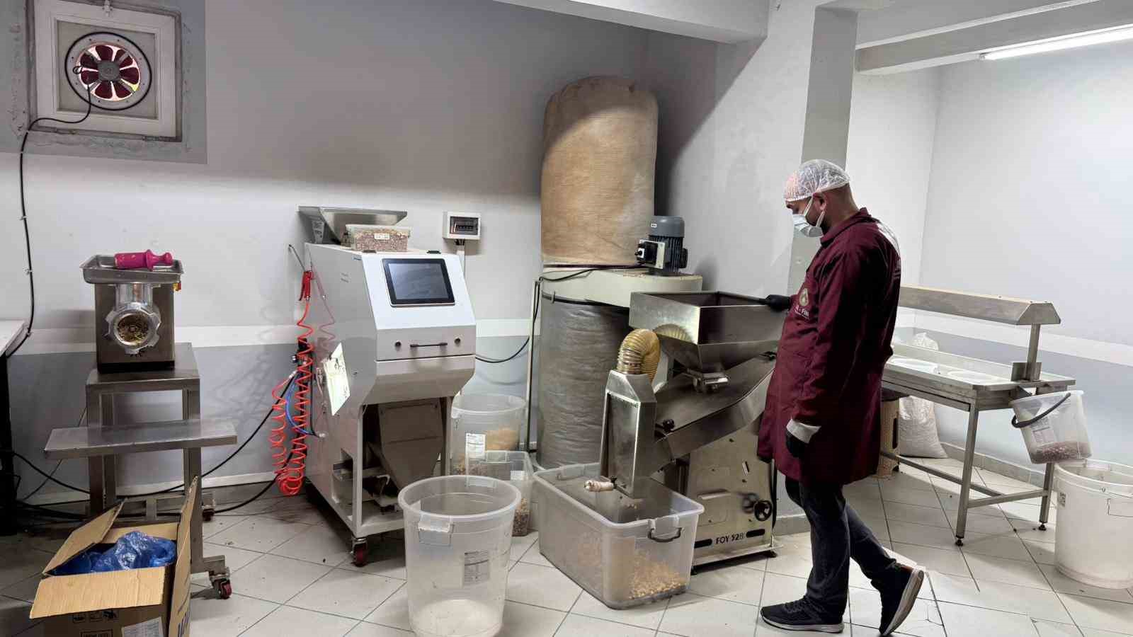 alaplida findik kavurma tesisleri taleplere yetisemiyor 4