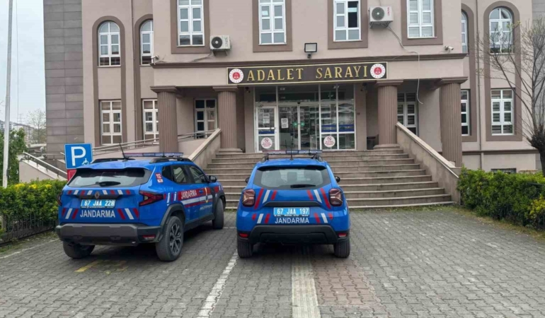 alaplida-uyusturucu-operasyonunda-7-kok-kenevir-ve-esrar-ele-gecirildi-BHHhxMNv.jpg