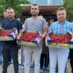 alasehirin-en-guzel-kirazi-secildi-lkcxNB7b.jpg