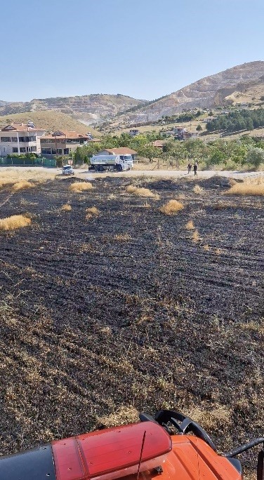 alevler arasinda kalan kaplumbagayi itfaiye ekipleri suyla serinletti 2