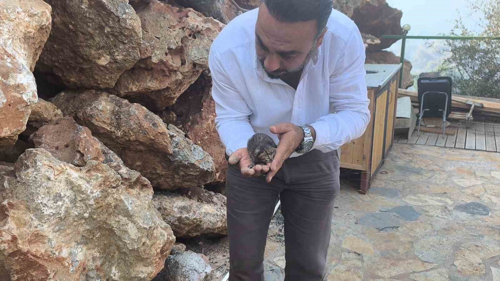alevlerden kurtulan kediye iha ekibi kucak acti 1 eA841kZy