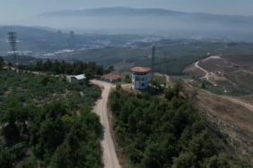Karla kaplı dağlarda koşuşturan geyikler dronla böyle kaydedildi 1 thumbnail