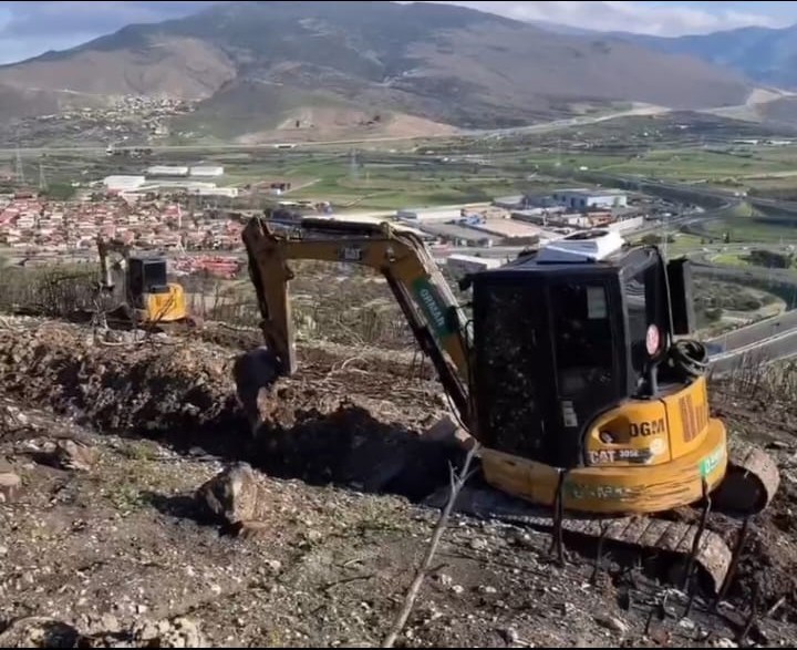 aliaga ve focada yanan orman alanlari yeniden yesile kavusuyor 1