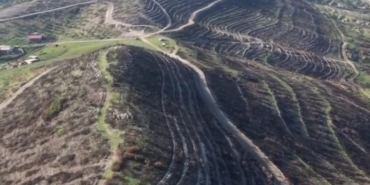 aliaga-ve-focada-yanan-orman-alanlari-yeniden-yesile-kavusuyor-sP6t3GQg.jpg