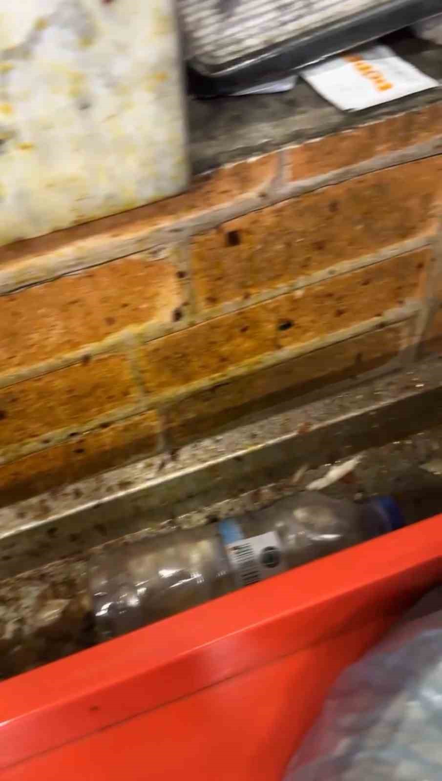 alisveris merkezindeki restoranlarda mide bulandiran goruntuler 5 LnOISCiD
