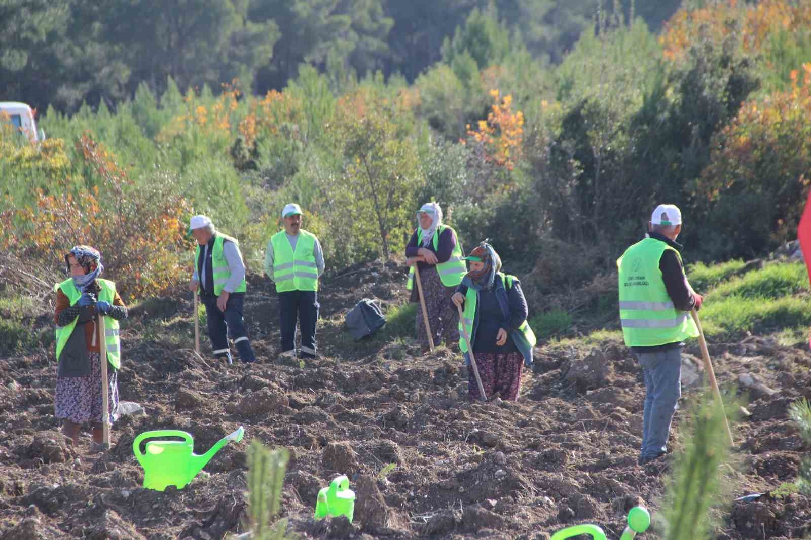 alj turkiye izmirde 312 bin fidani toprakla bulusturdu 3 1gC1BsMM