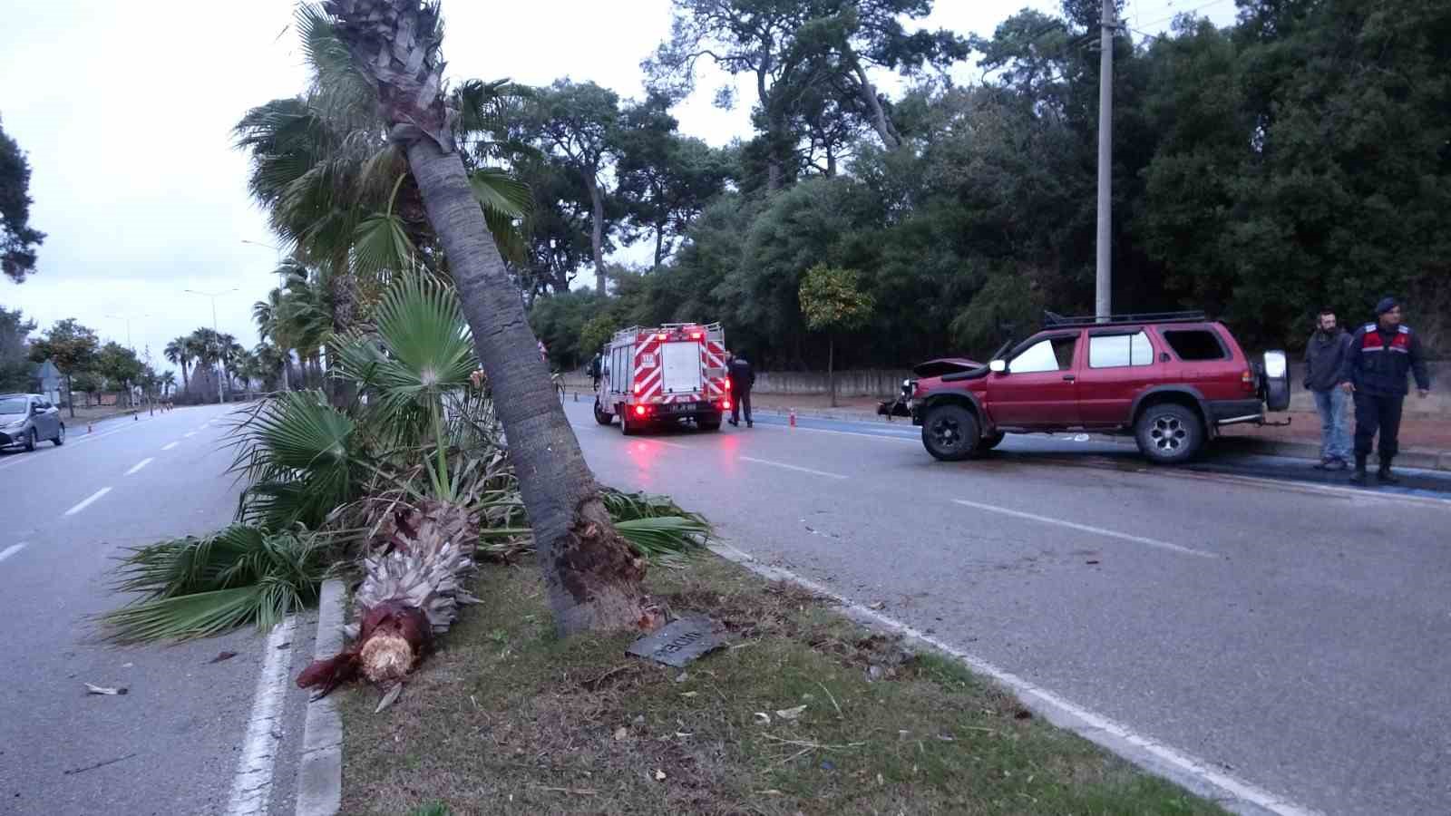 alkollu surucu palmiyeye carpti 2 yarali 0