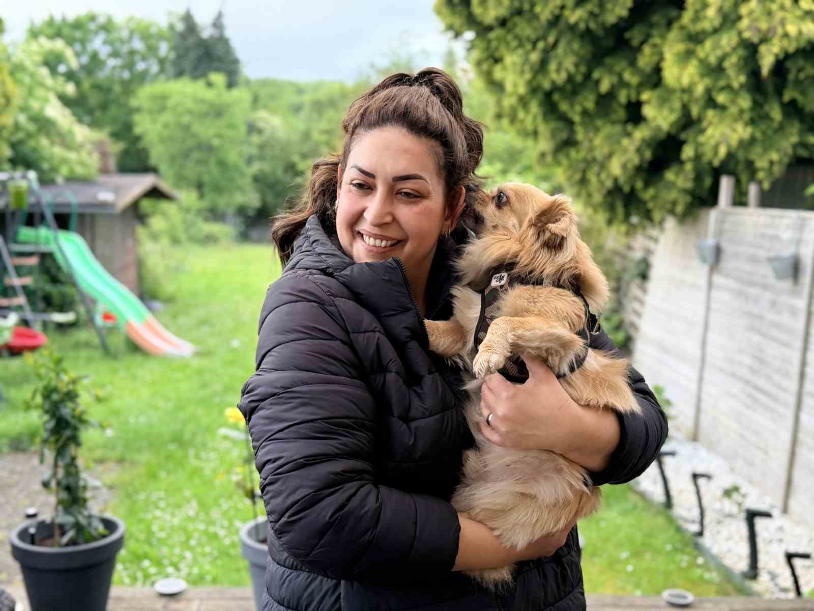 almanyada kopek sahiplerine sigorta sarti 3 CbgEO3vL