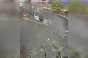 Fransa’da şiddetli fırtına: 2 kişi öldü, 53 bin ev elektriksiz kaldı 2 thumbnail