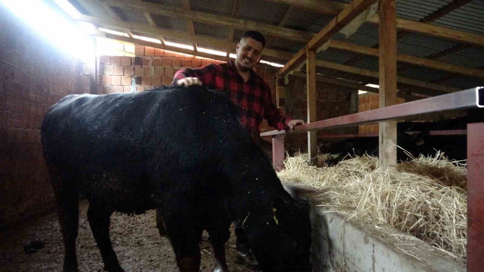 almanyadan koyune dondu cobanlik yapmaya basladi 2 OpuprND5