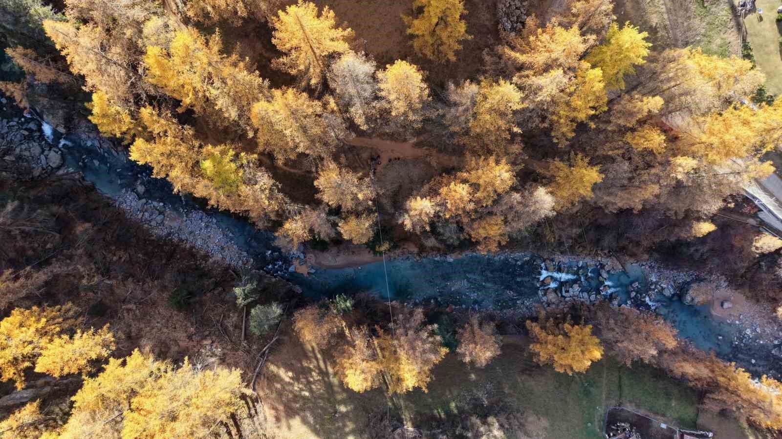 alp daglarinin zirvesinde masal gibi goruntuler 21 93eBIJ4s