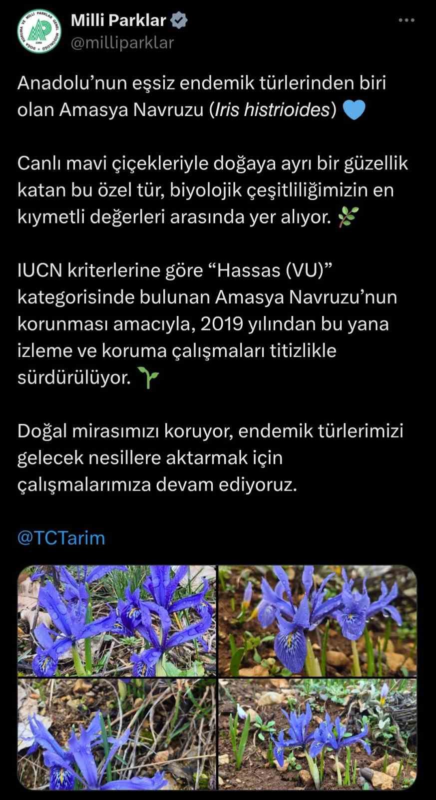 amasya navruzunun fotograflari en kiymetli degerleri arasinda notuyla paylasildi 4 qzzqChXH