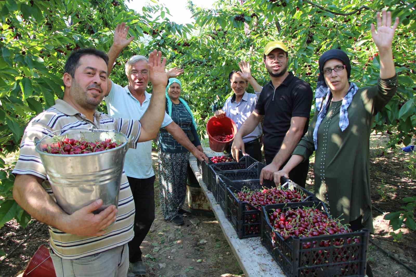 Amasya’da 65. Kiraz Teşvik Yarışması yapıldı 17 amasyada 65 kiraz tesvik yarismasi yapildi 13 gS5XHFMY