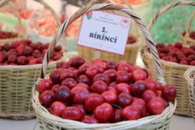 Anzer Balı’nın yeni sezon kilogram satış fiyatı 7 Bin TL olarak belirlendi 2 thumbnail