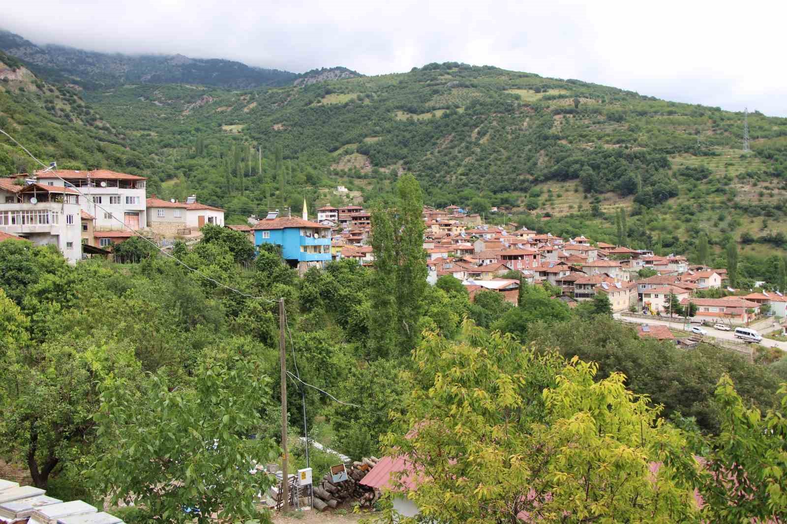 amasyada dallari kiraz basti bu yil 50 bin ton rekolte bekleniyor 3 uBJsdH6F