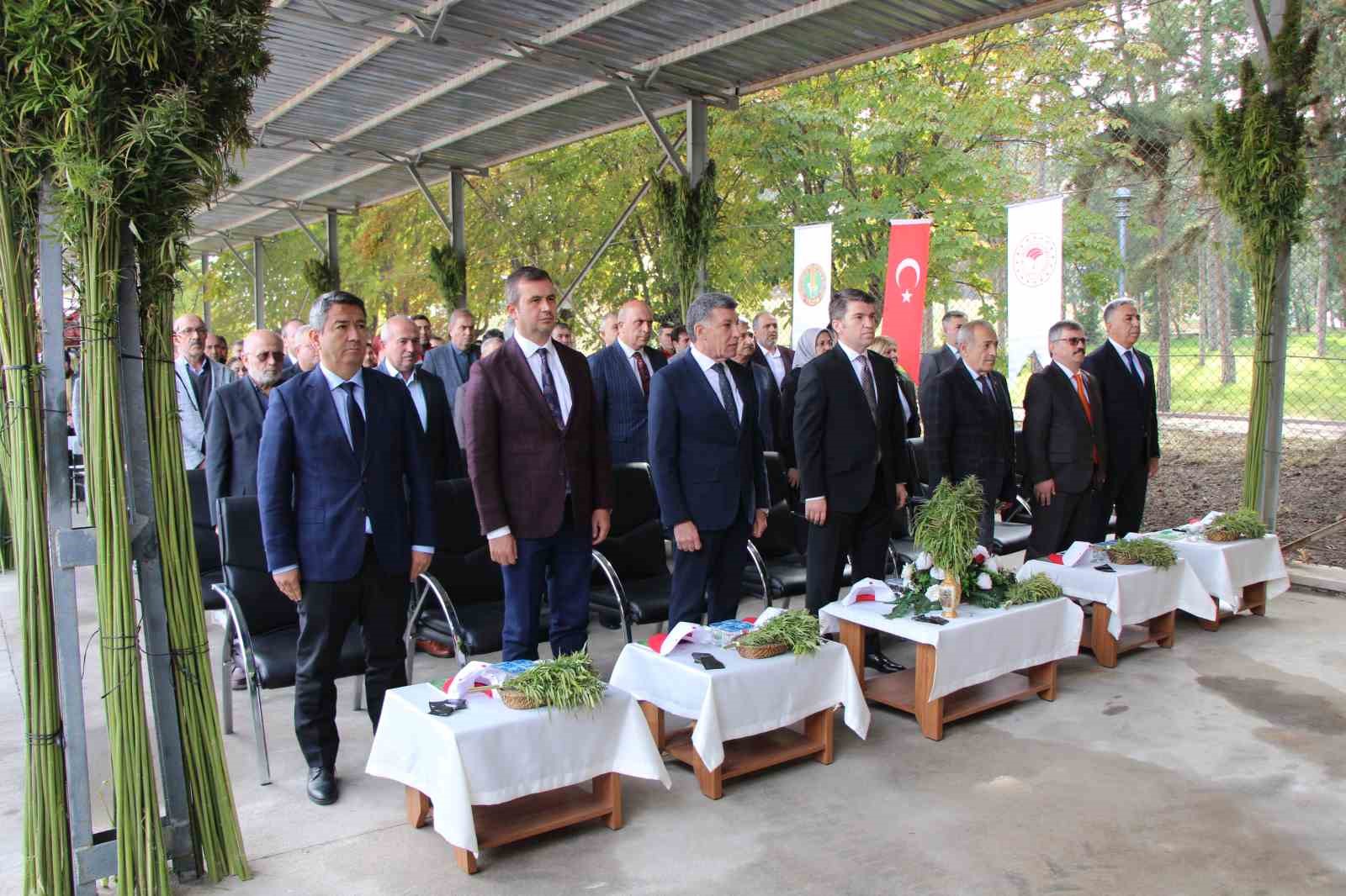 amasyada kenevirde hayal kirikligi kenevir ekim alani 6 bin 500 dekardan 850 dekara dustu UcWVvviX