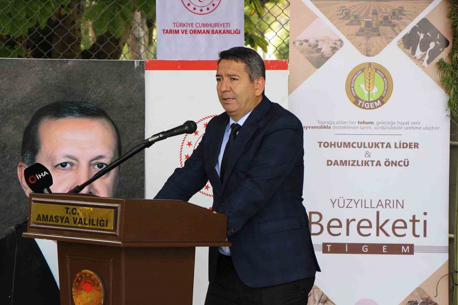 amasyada kenevirde hayal kirikligi kenevir ekim alani 6 bin 500 dekardan 850 dekara dustu zmC8vS74