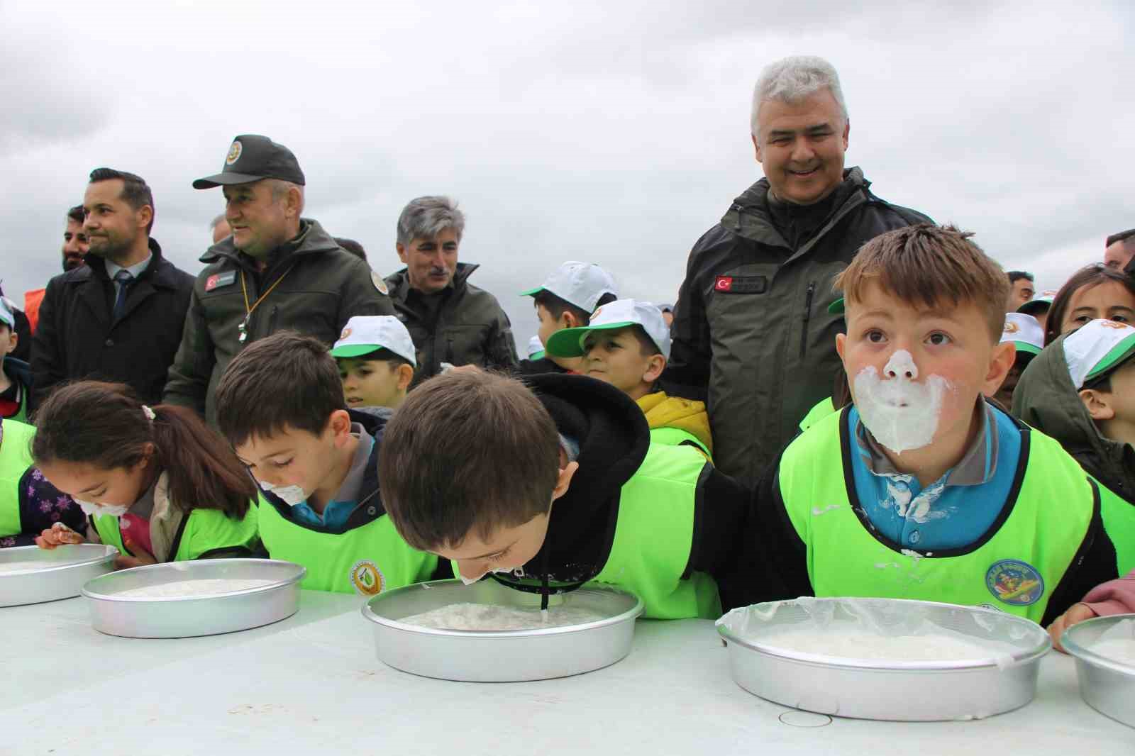 amasyada orman haftasi etkinligi cocuk senligine donustu 3 W52SLLbM