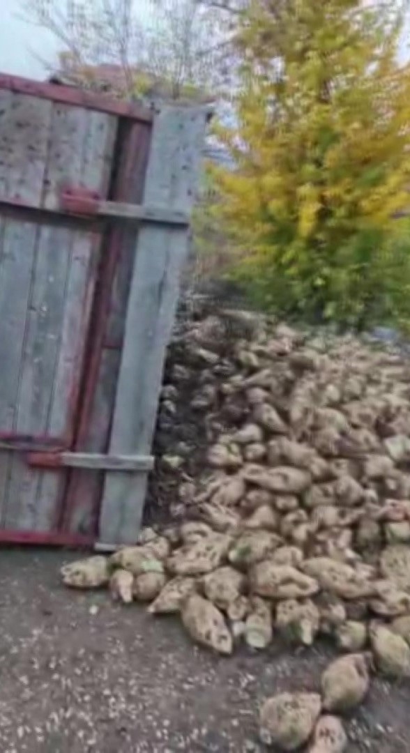 amasyada pancar yuklu traktor romorku devrildi kaza ani kamerada 5 LcSKsTV6