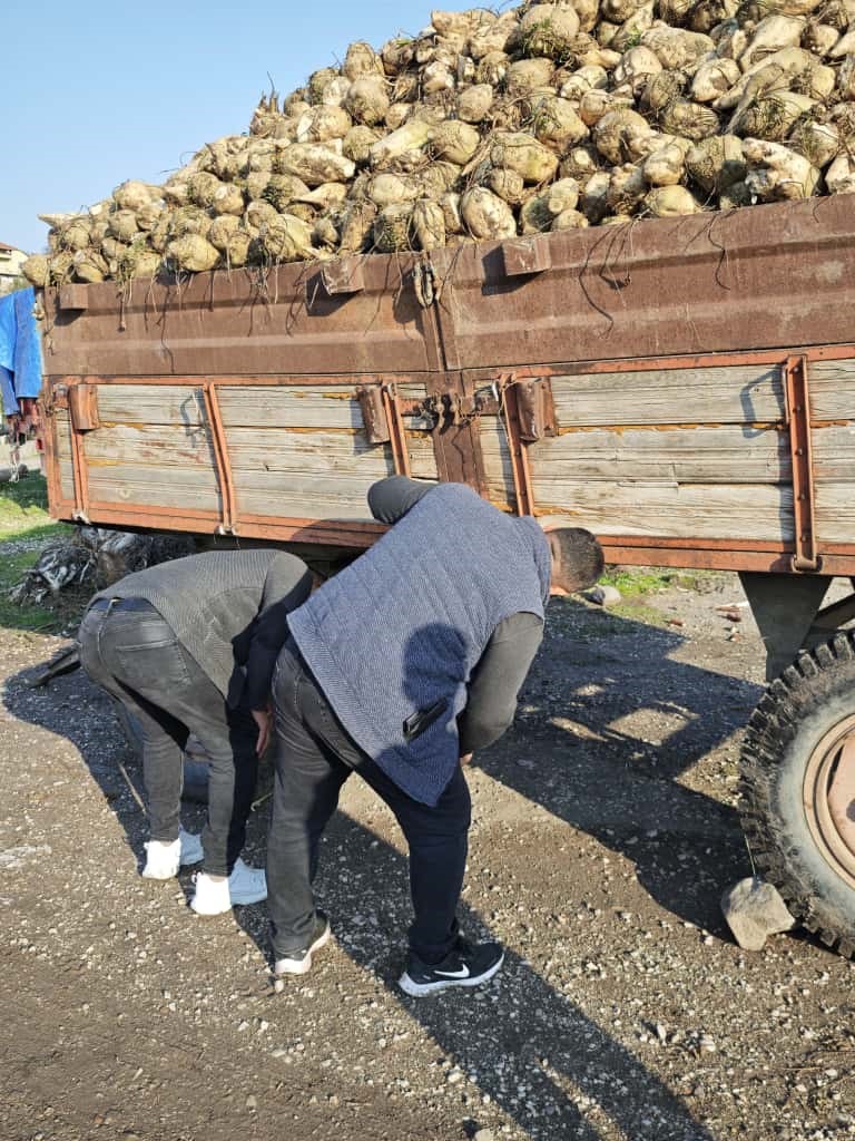amasyada pancar yuklu traktor romorku devrildi kaza ani kamerada 7 E6Xav8Wl