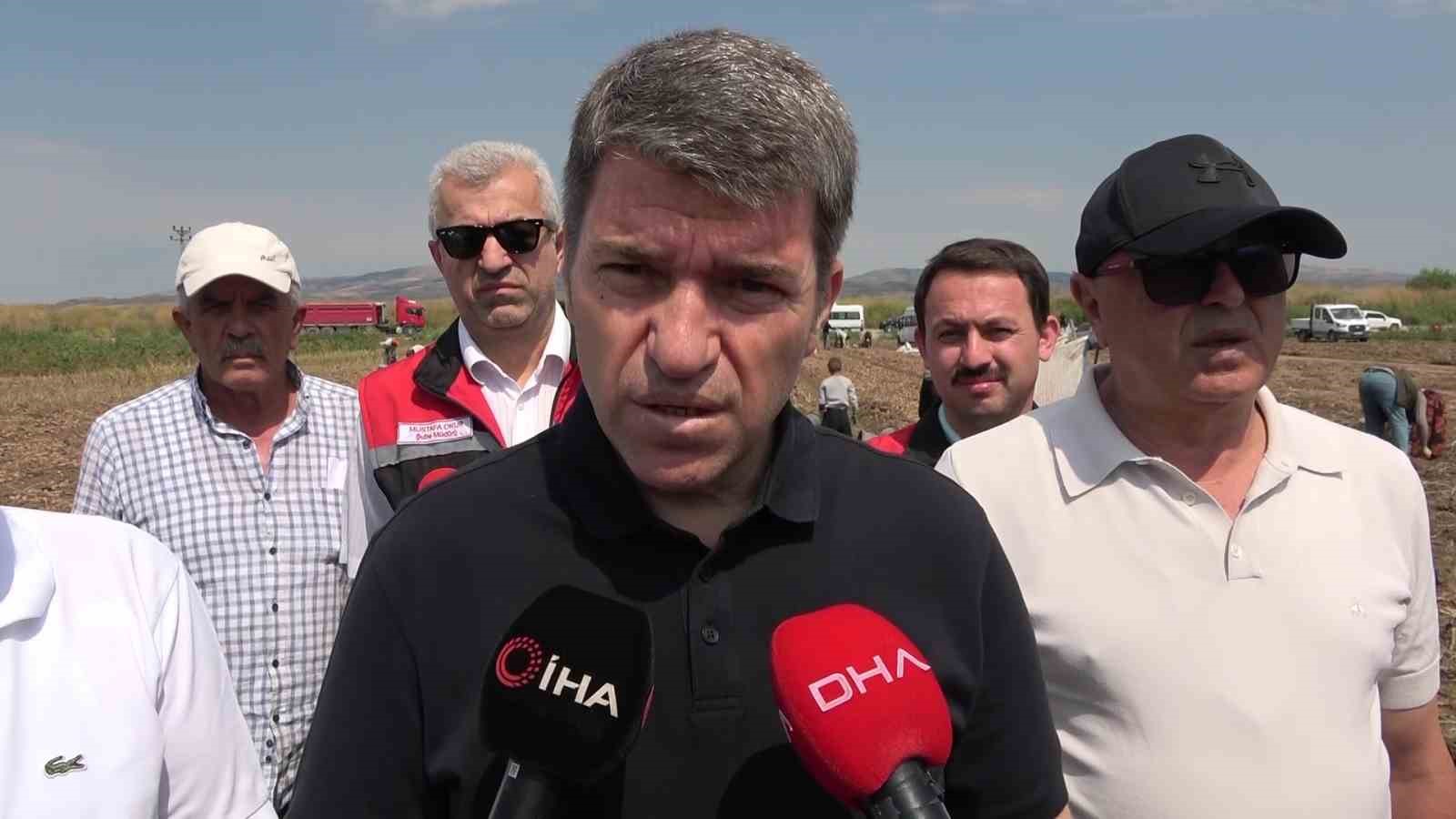 amasyada patates hasadi basladi 130 bin ton rekolte bekleniyor 5 n6FryP29
