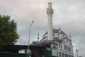 Yürümekte güçlük çeken bozayı ormana böyle ulaşmaya çalıştı 1 thumbnail