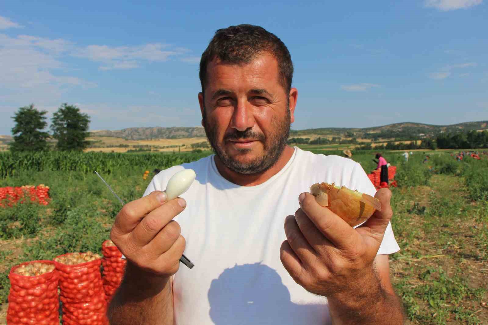 Amasya’da soğan bir bardak çaydan bile ucuz 8 amasyada sogan bir bardak caydan bile ucuz 4 gQLCTSFg