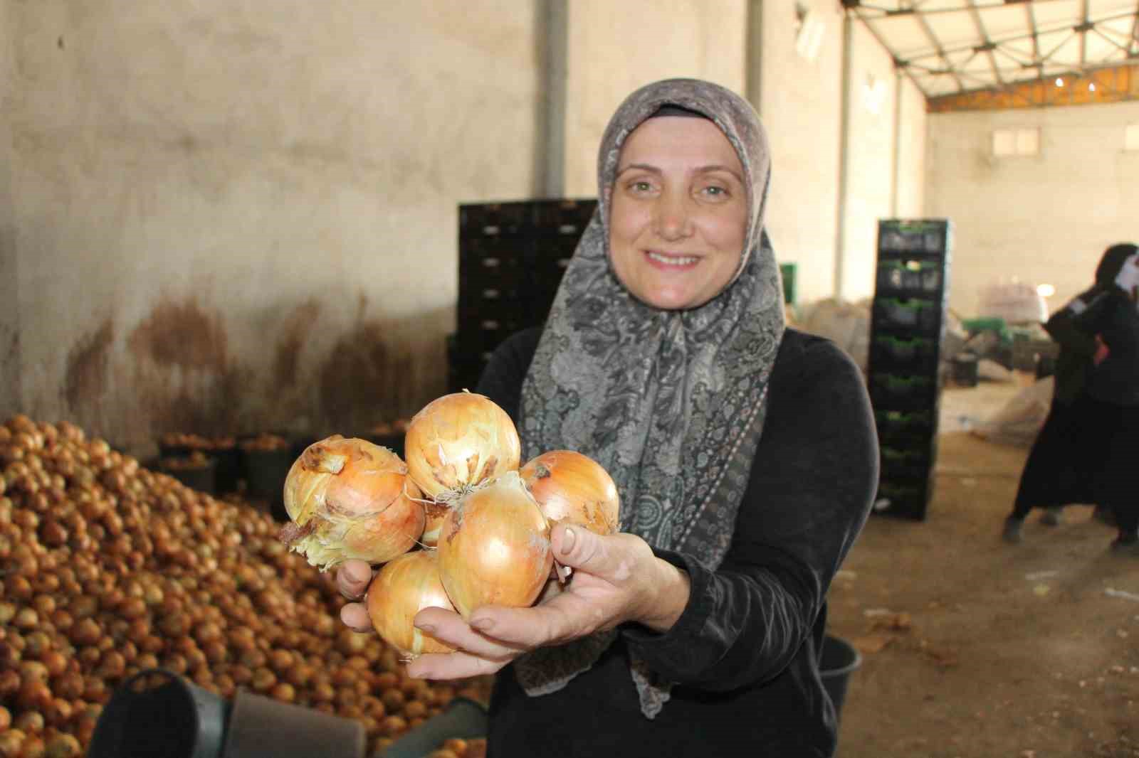 Amasya’da soğan bir bardak çaydan bile ucuz 9 amasyada sogan bir bardak caydan bile ucuz 5 8gduElIY