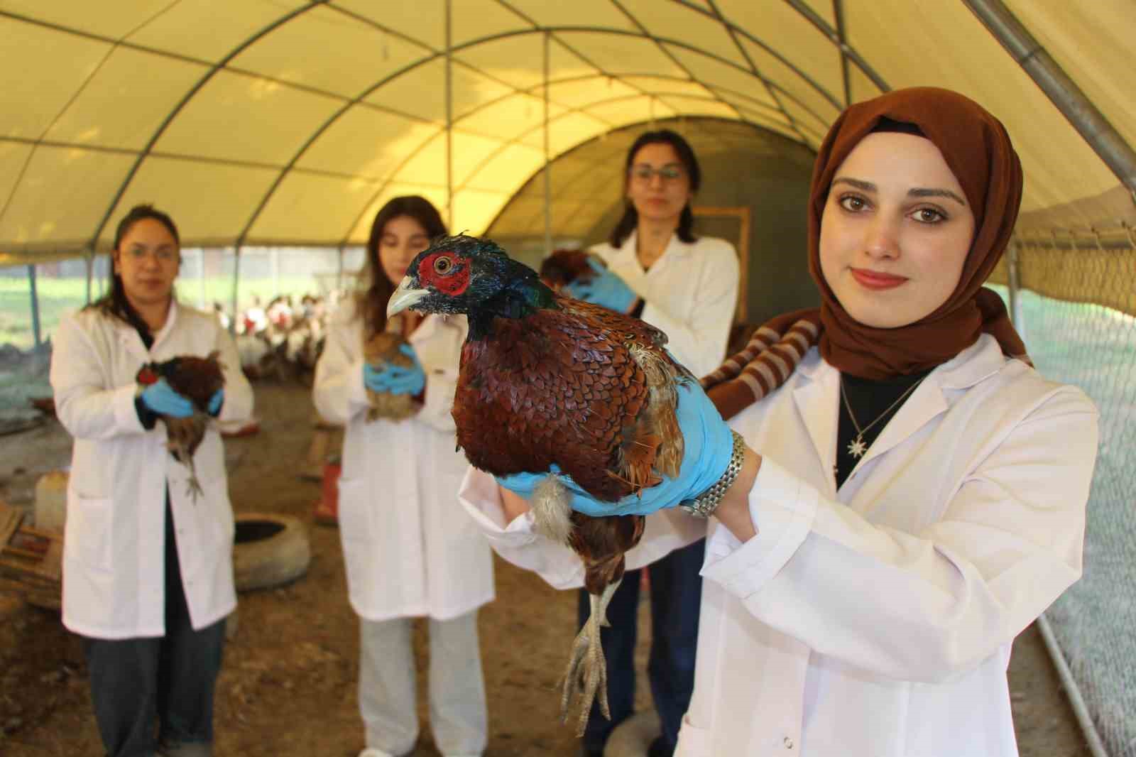 amasyada universiteliler sulun yetistiriyor 1 Munn2Na7