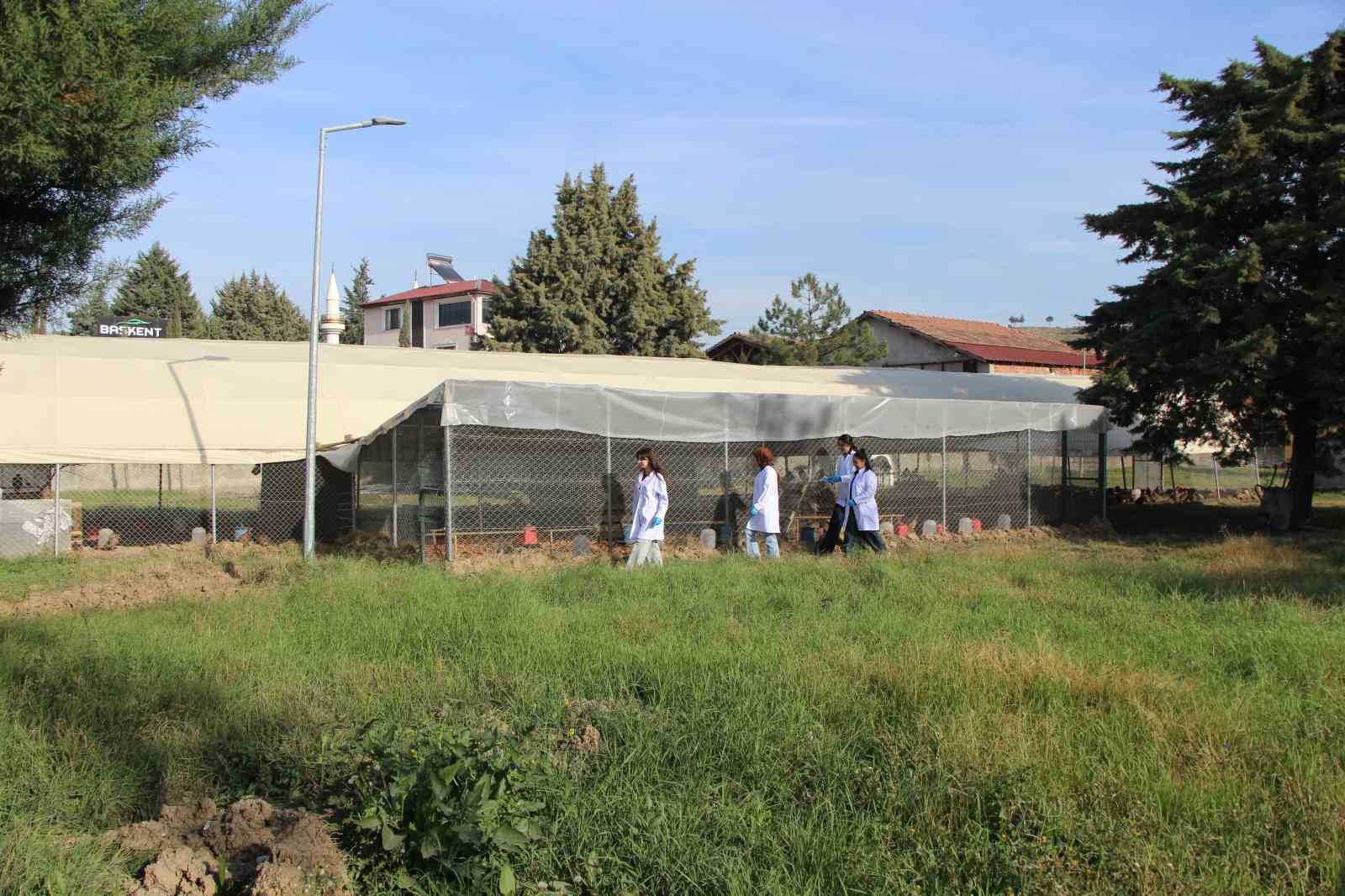 amasyada universiteliler sulun yetistiriyor 8 sfcMweTR