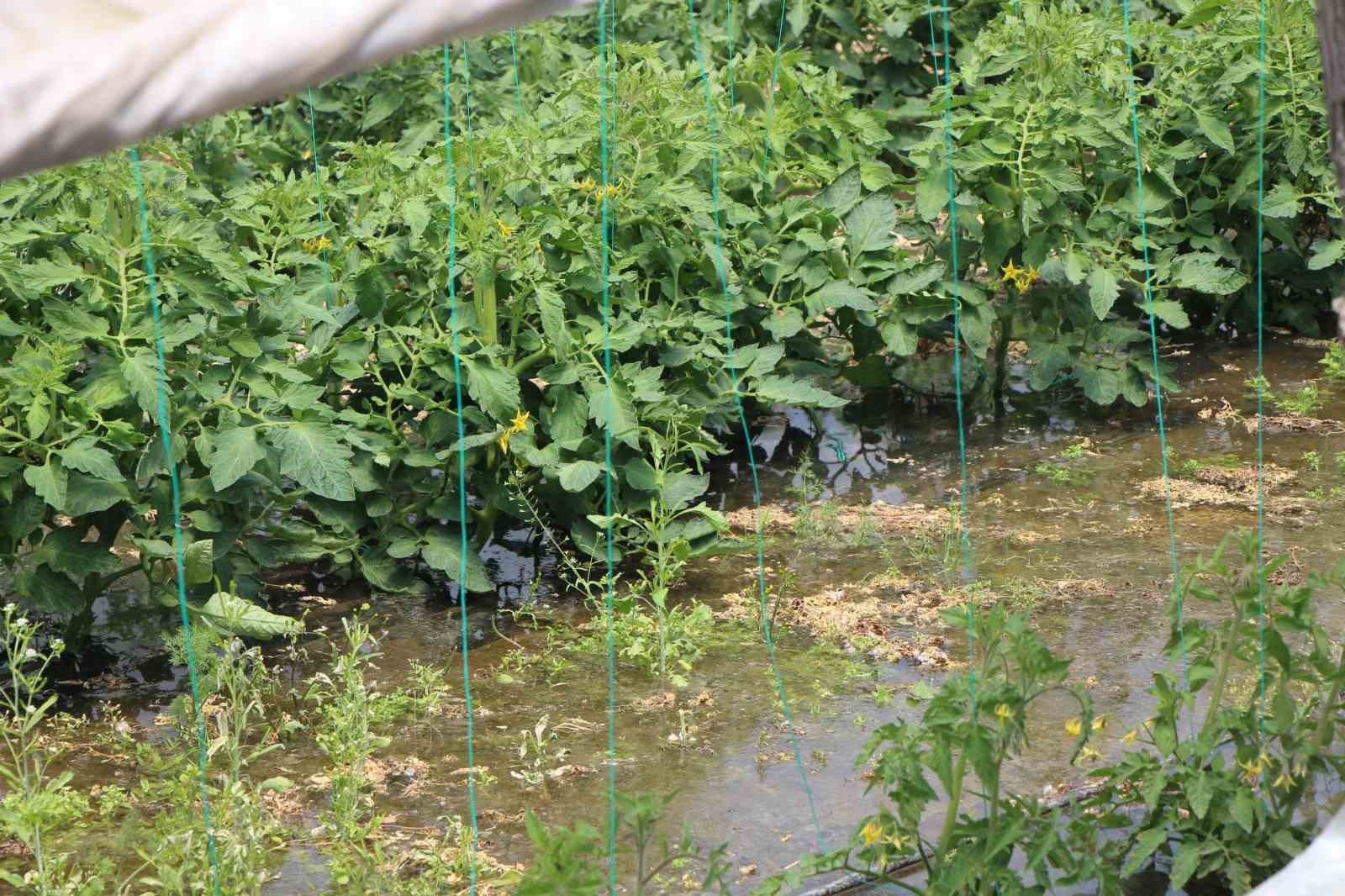 amasyada yesilirmak nehri tasti tarim arazileri sular altinda kaldi 8 zIE2Siwb
