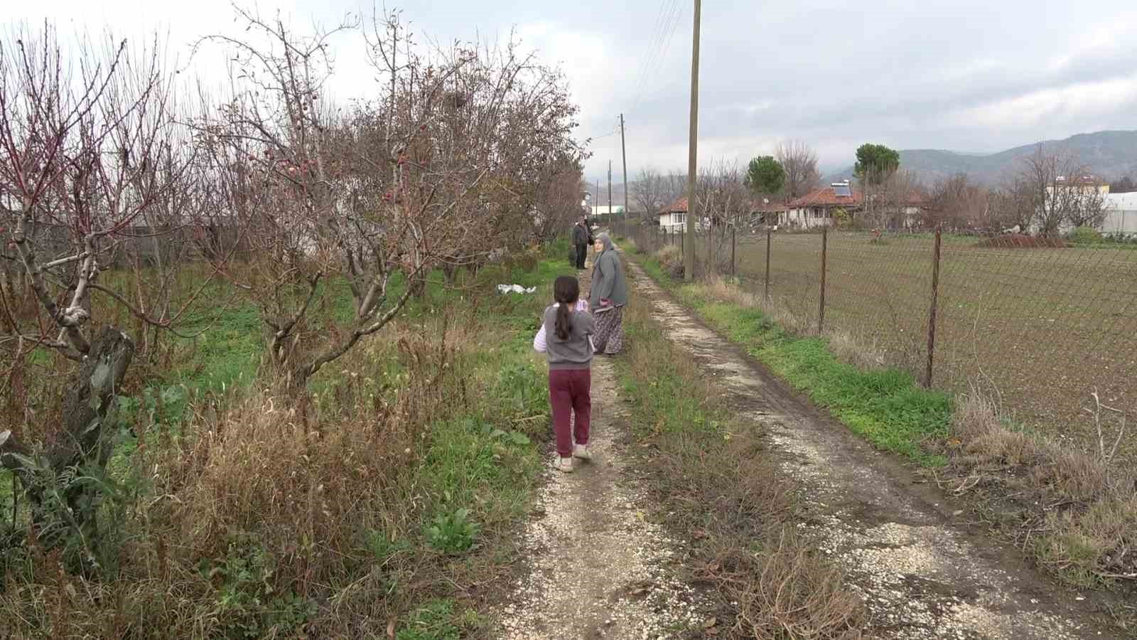 amasyali feruziye nine serada kisin uzum yetistirip satiyor 10 Abke8gCA