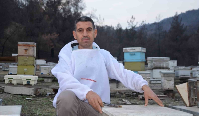 ana-ari-uretiminde-buyuk-basari-bir-ari-kovaniyla-hobi-olarak-basladi-simdi-turkiyenin-her-Ji4ZMFMd.jpg