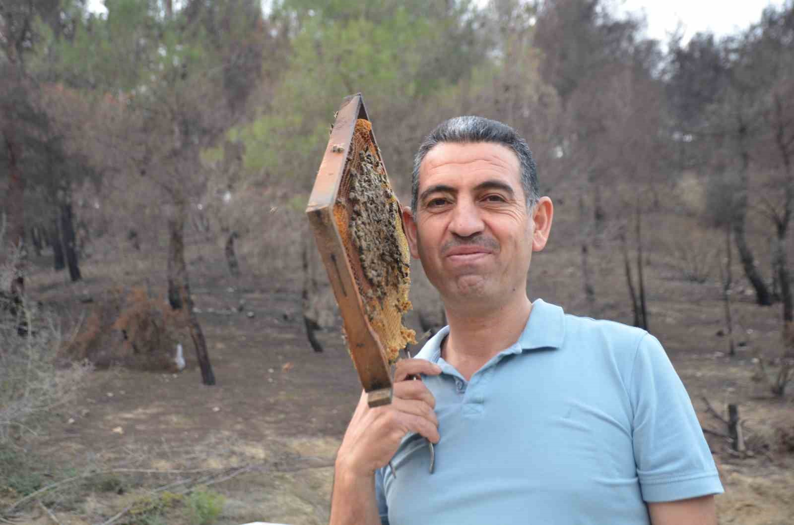 ana ari uretiminde buyuk basari bir ari kovaniyla hobi olarak basladi simdi turkiyenin her ZVFMipvn