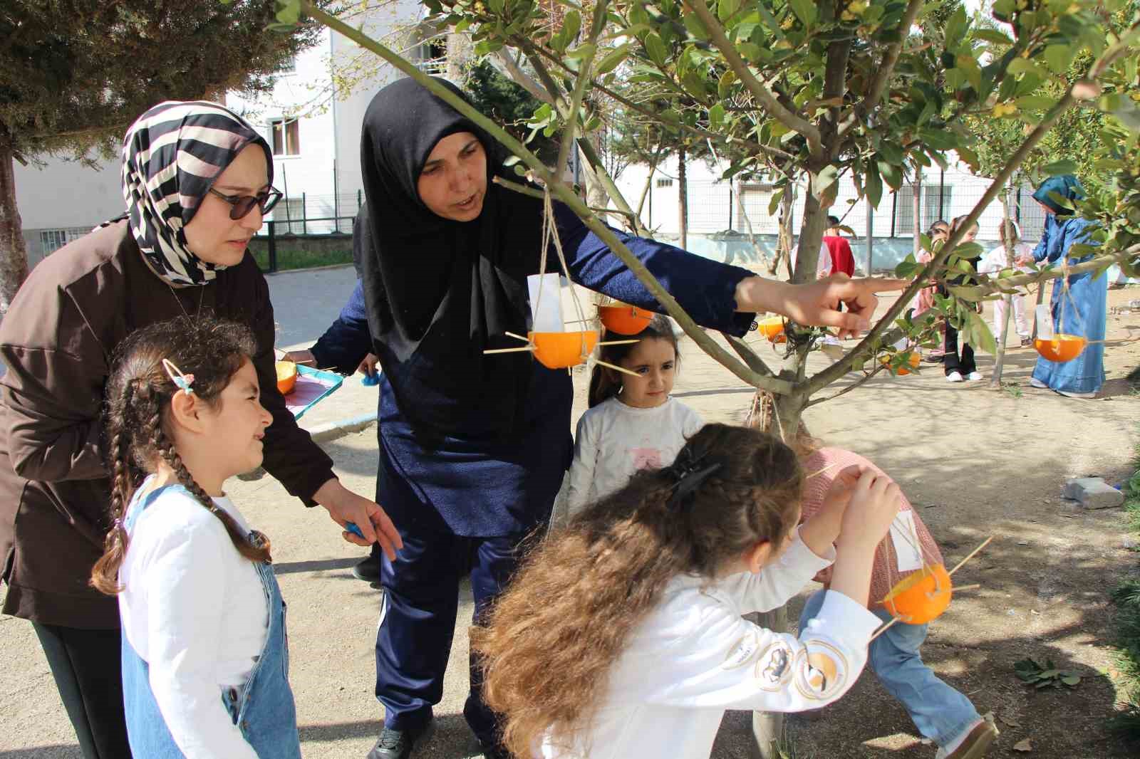 Ana sınıfında portakallar kuşlar için yemlik ve yuvaya dönüştü 7 ana sinifinda portakallar kuslar icin yemlik ve yuvaya donustu 3 bcNVBQJF