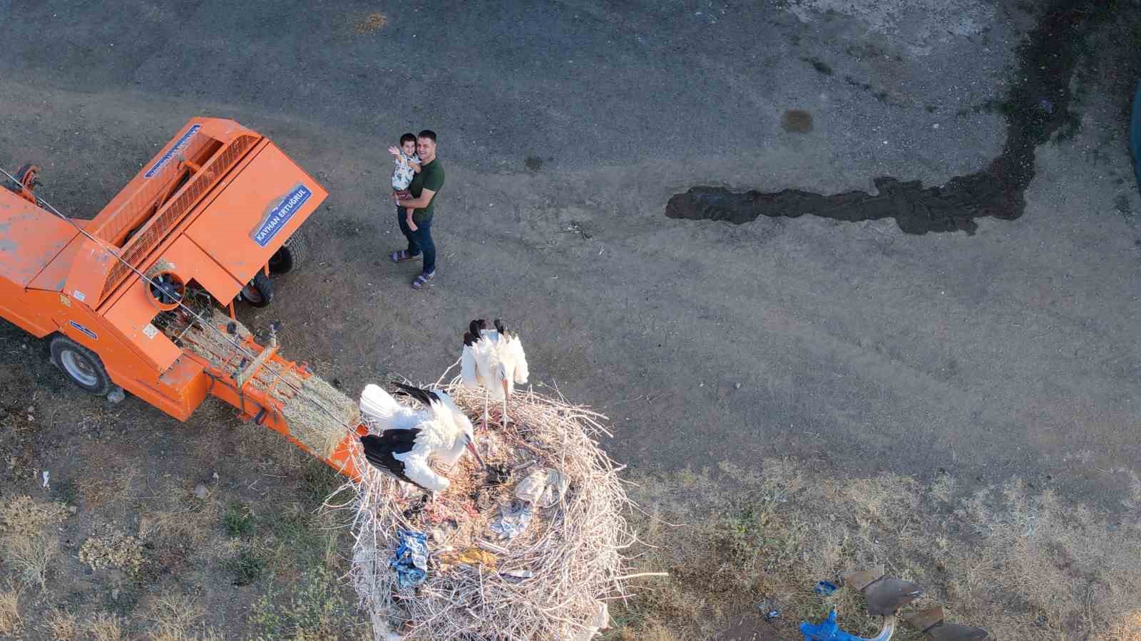 Anadolu’da leyleklerin göç hazırlığı 5 anadoluda leyleklerin goc hazirligi 1 BQApKsBu