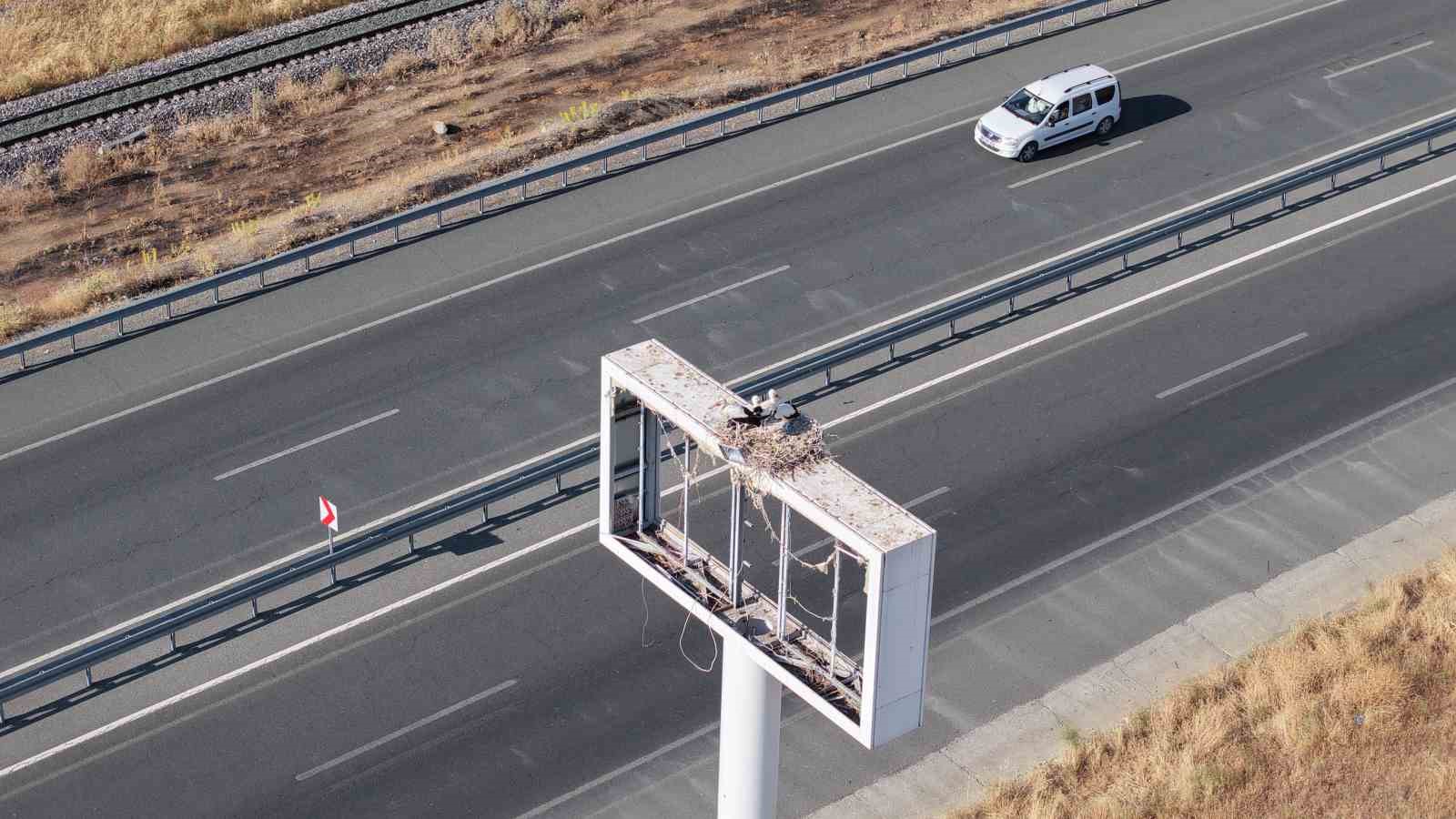 Anadolu’da leyleklerin göç hazırlığı 8 anadoluda leyleklerin goc hazirligi 4 P9ZPm2b4