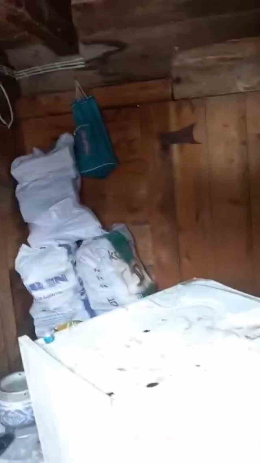 Anahtarın yerini tarif etti, evine giren ayıya "Zarar verme" diye seslendi 6 anahtarin yerini tarif etti evine giren ayiya zarar verme diye seslendi 2 jFkePgkJ