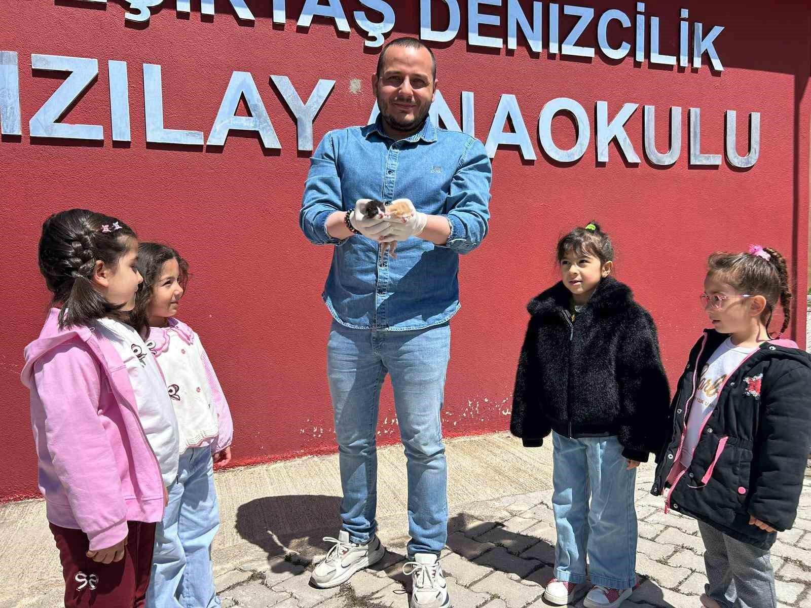 anaokulunun misafiri findik 6 yavru dunyaya getirdi 0