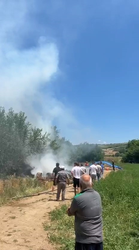 aniz alevi 20 donumu kule cevirdi 2 kSrTtdLG