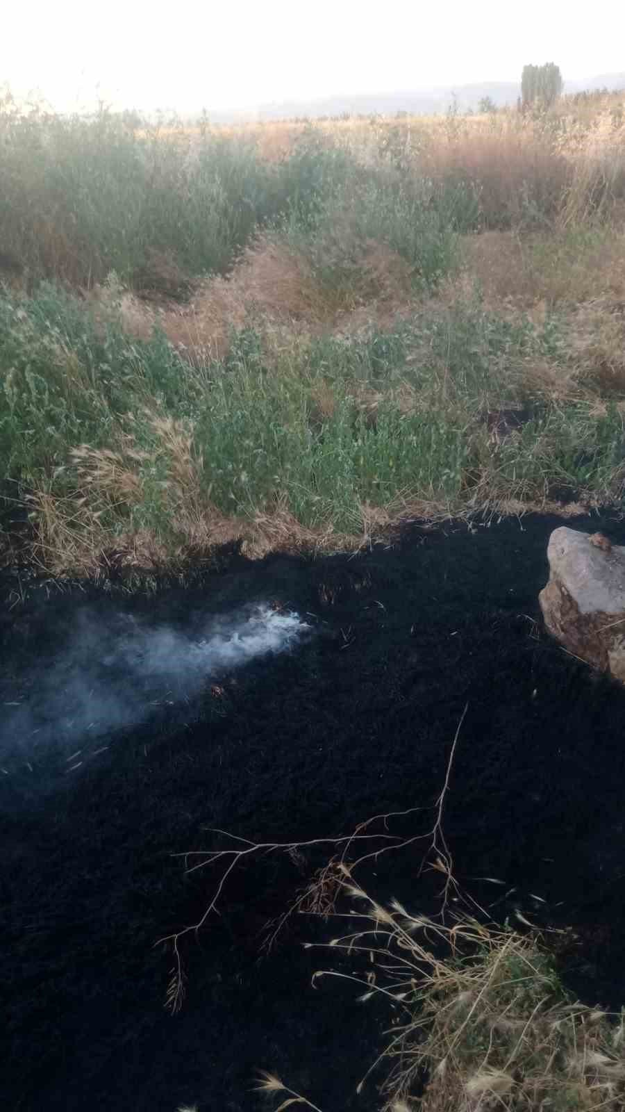Anız yangını tarım arazileri ve ormanlık alana sıçramadan söndürüldü 5 aniz yangini tarim arazileri ve ormanlik alana sicramadan sonduruldu 1 gD2p4mNZ