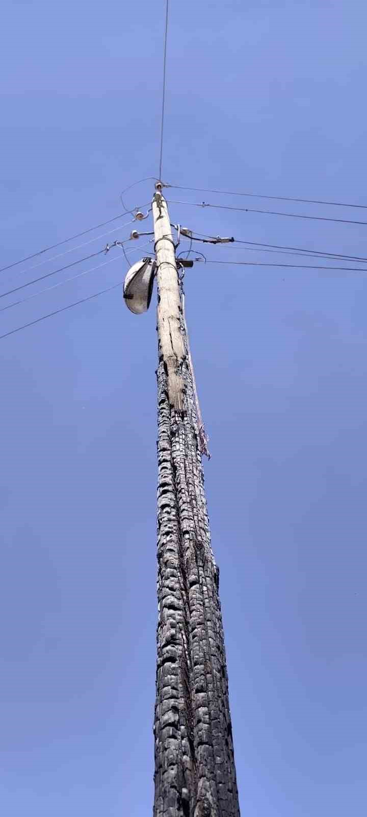 Anız yangınları enerji altyapısını da tehdit ediyor 4 aniz yanginlari enerji altyapisini da tehdit ediyor 0 gsECZEYw