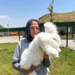 ankara-tavsanlari-yeniden-hayat-buldu-hedef-uretim-ve-kadin-istihdami-qznGAaBO.jpg